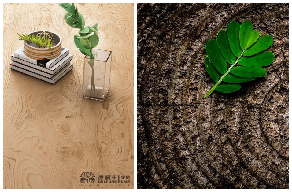 【3.12植樹節】|| 木紋系列——把自然氣息帶回家(圖3)