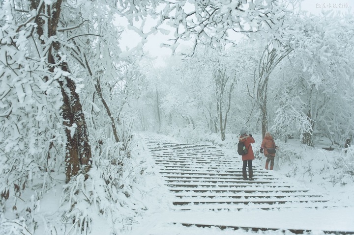 大雪入冬，這邊卻刮起了“火熱風(fēng)暴”(圖2)