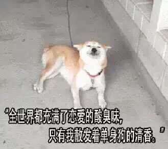 官宣！聽說德利豐大巖板戀愛了？(圖3)